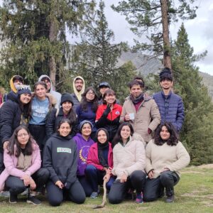 fairy meadows