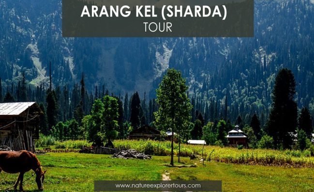Arang Kel, Sharda – 03 Days