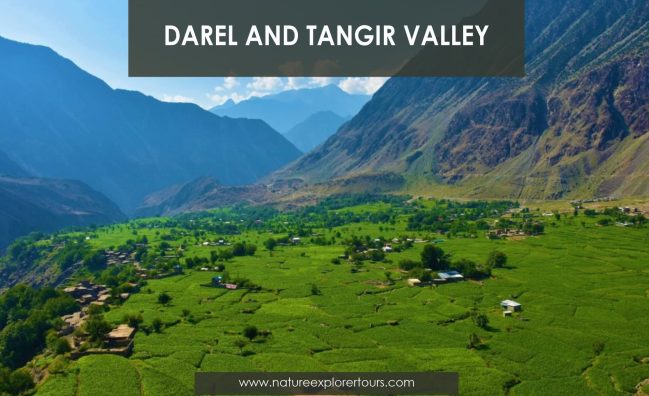 Tour of the Darel and Tangir Valley