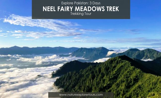 Neel Fairy Meadows Trek