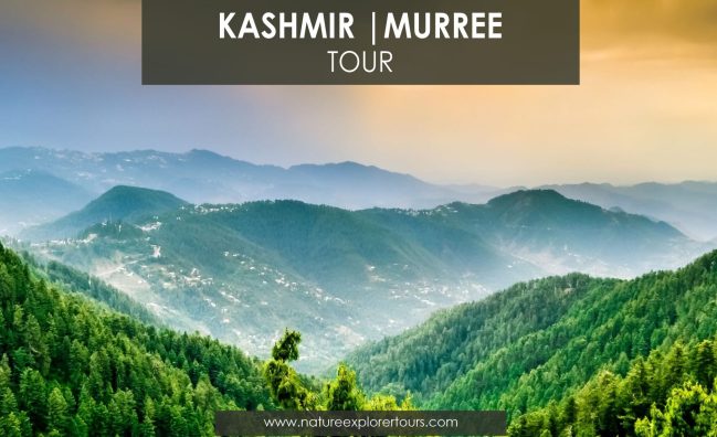Murree & Azad Kashmir Tour (05 Days)