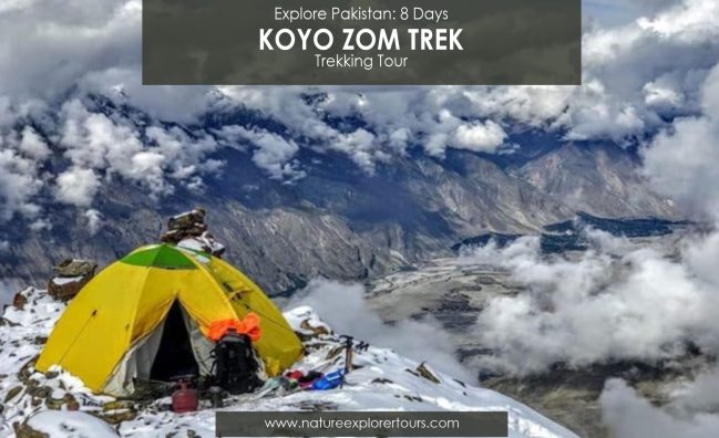 Koyo Zom Trek