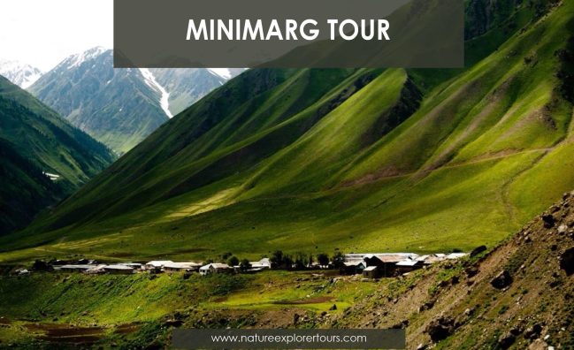 Minimerg Tour