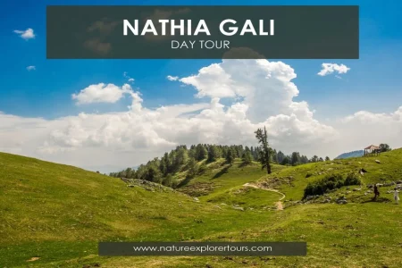 Nathia gali day tour