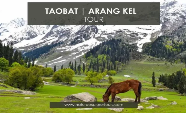 taobat arang kel tour