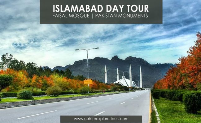 One-day tour of Islamabad that includes the Faisal Mosque and the Pakistan Monument