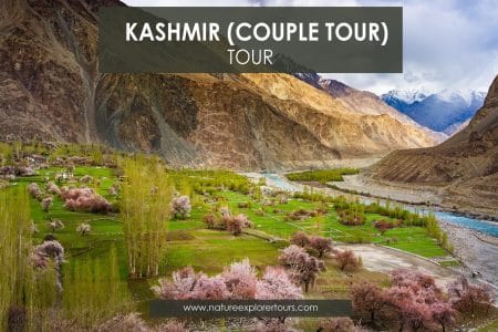 Couple Tour To Kashmir From Islamabad  – 05 Days