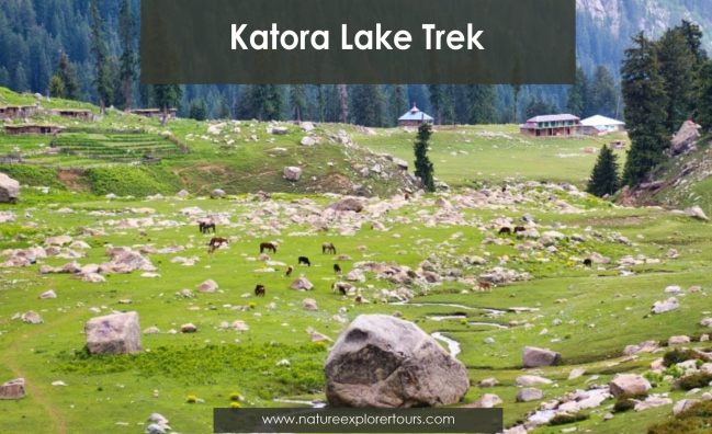 Katora Lake Trek
