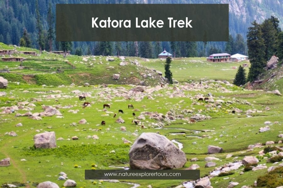 Katora Lake Trek