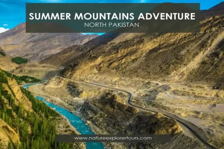 summer mountain adventure