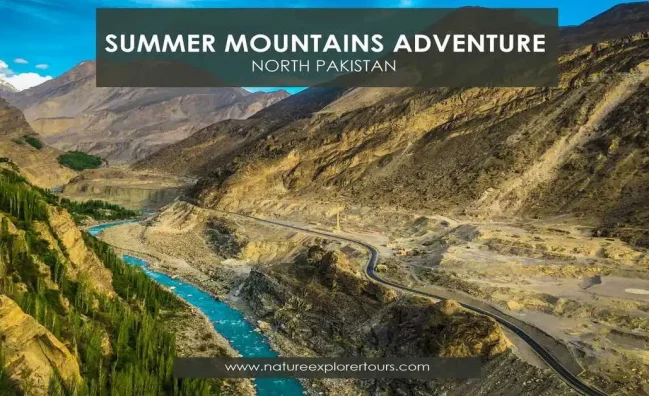 summer mountain adventure