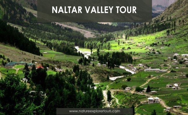 Naltar Valley Tour