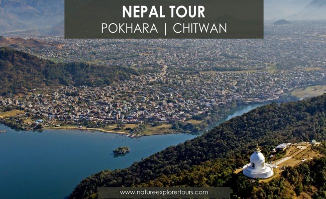 Kathmandu Pokhara and Chitwan Tour  – 09 Days