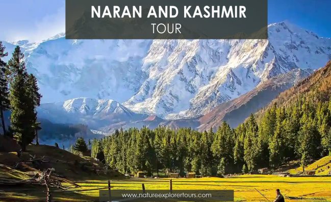 Naran, Neelum Valley Tour – 06 Days