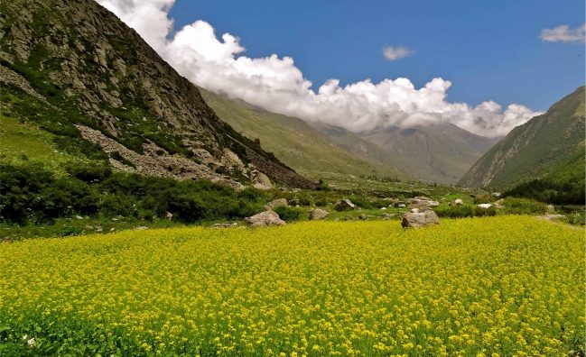 Shangla Valley Tour