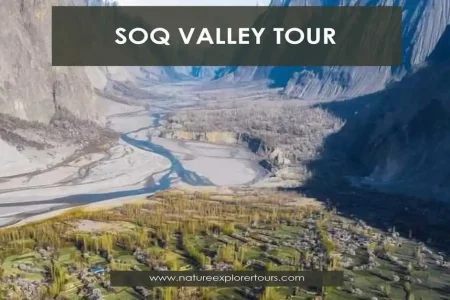 Soq Valley Tour