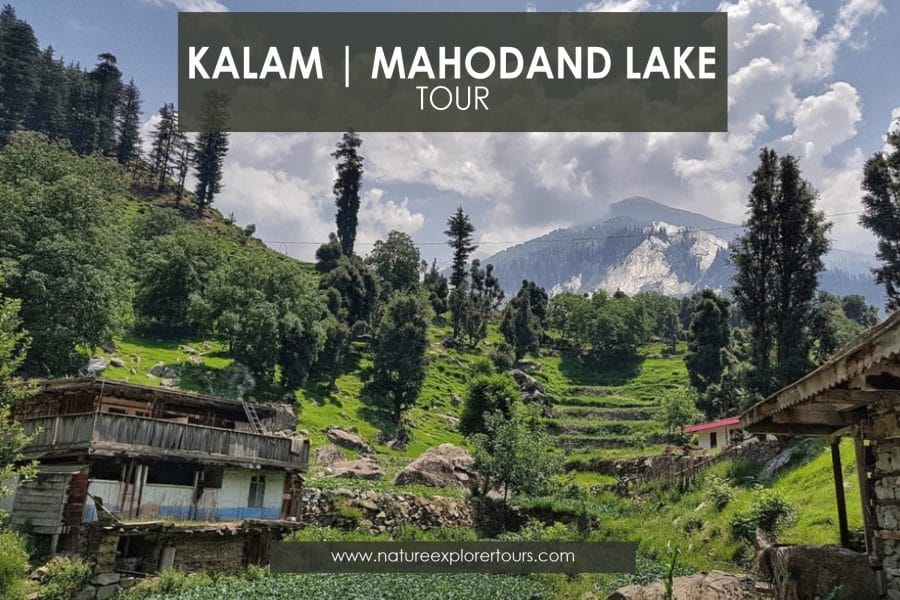 Swat, Kalam & Mahodand Tour  – 04 Days
