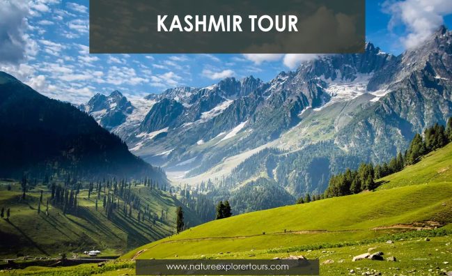 Grand Kashmir Tour – 10 Days