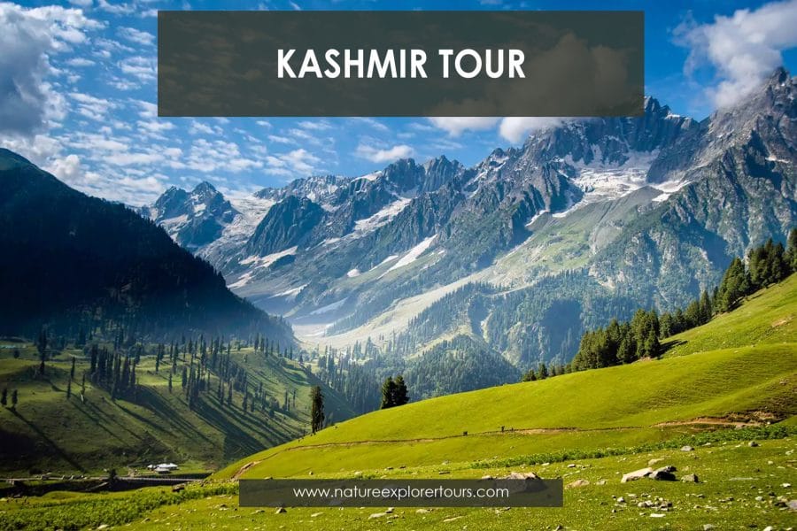 Grand Kashmir Tour – 10 Days
