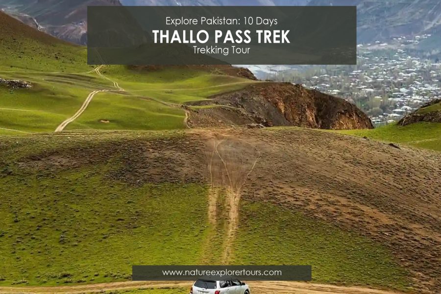 Chitral to Dir (Thallo Pass)