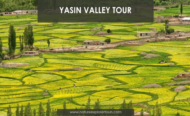 Yasin Valley Tour