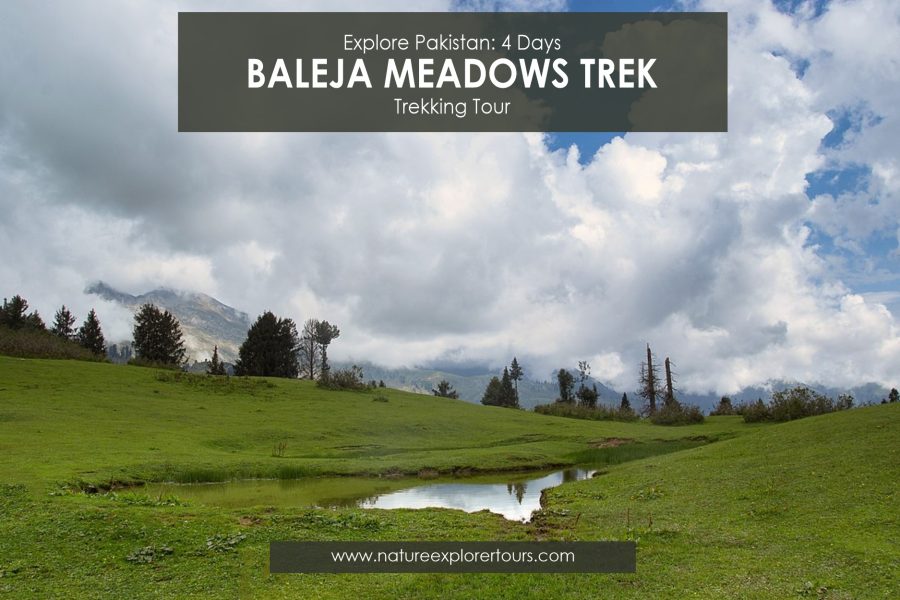 Palija Meadows Trek