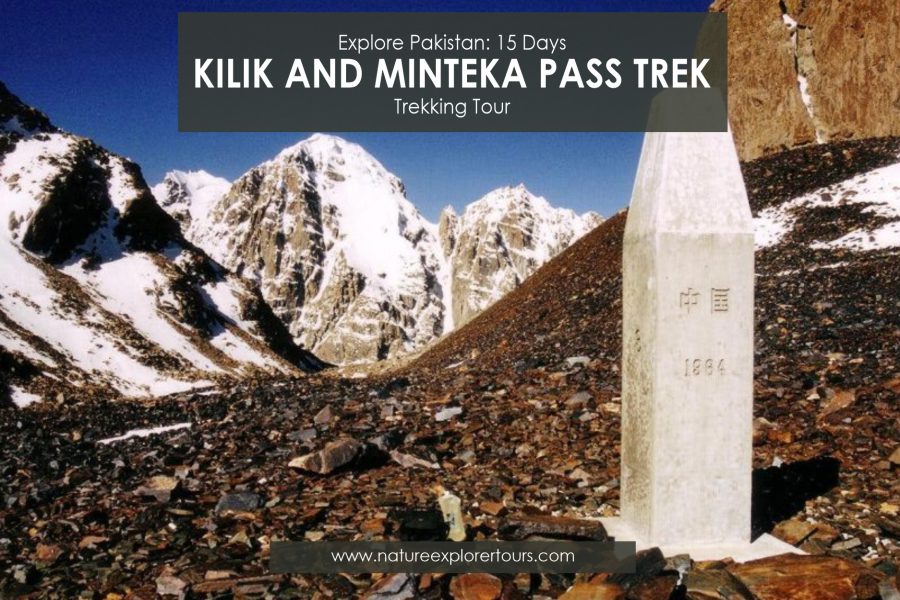 Kilik and Mintaka Pass Trek (Misgar Valley)