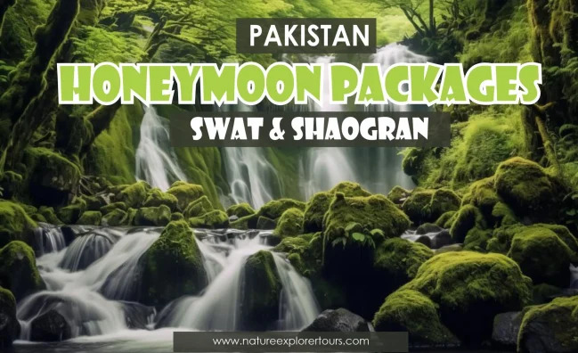 Honeymoon Package for Swat Valley & Shogran Valley (05 Days)