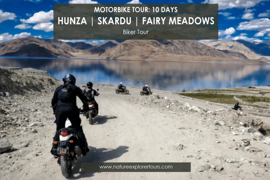 Bike tours