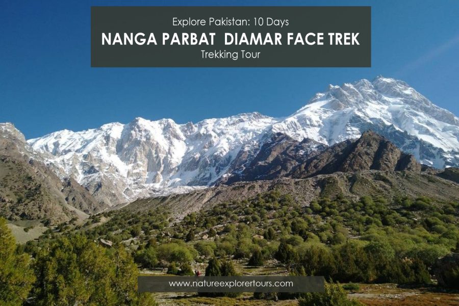 Nanga Parbat Diamer Face Trek