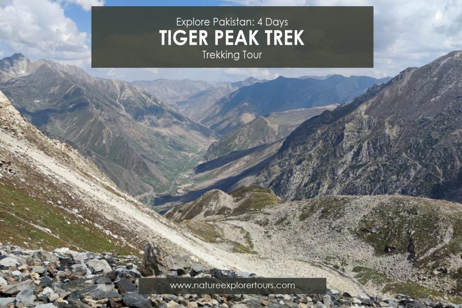 Tiger Peak Expedition