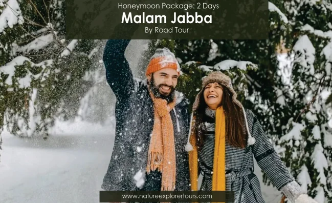 Malam Jabba Honeymoon Tour Package (2 Days)