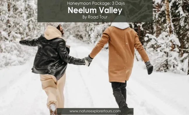Kashmir Honeymoon Tour Package (3 Days)