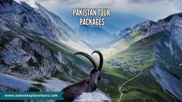 Pakistan tour packages