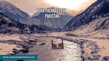 Tour packages for pakistan