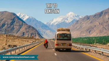 Trip to Pakistan